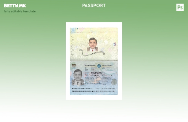 Модерен стил, сегашен шаблон за киргистански пасош 1